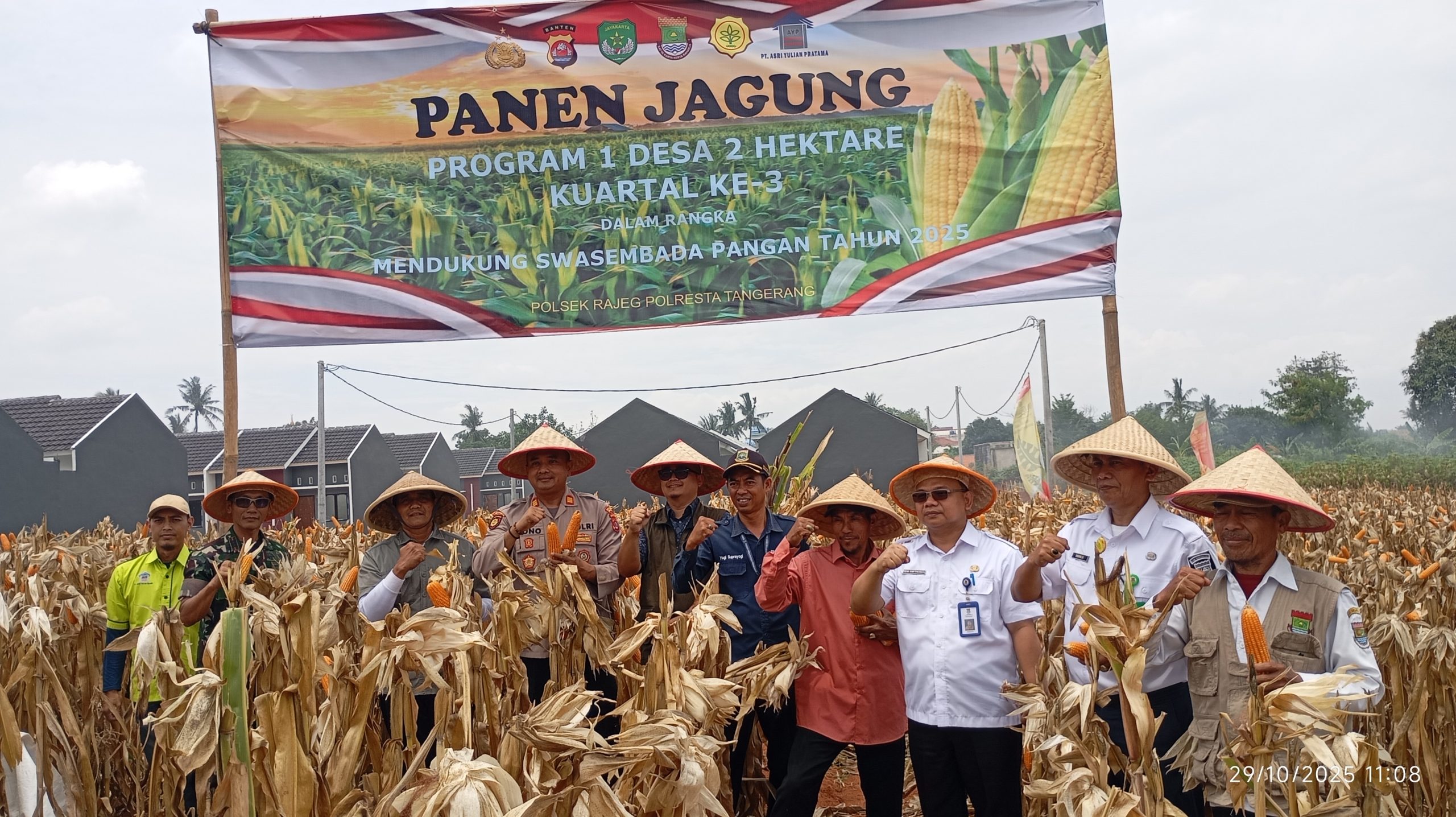Kapolsek Rajeg Panin Jagung di Desa Sukamanah Didukung Pengembang Perumahan