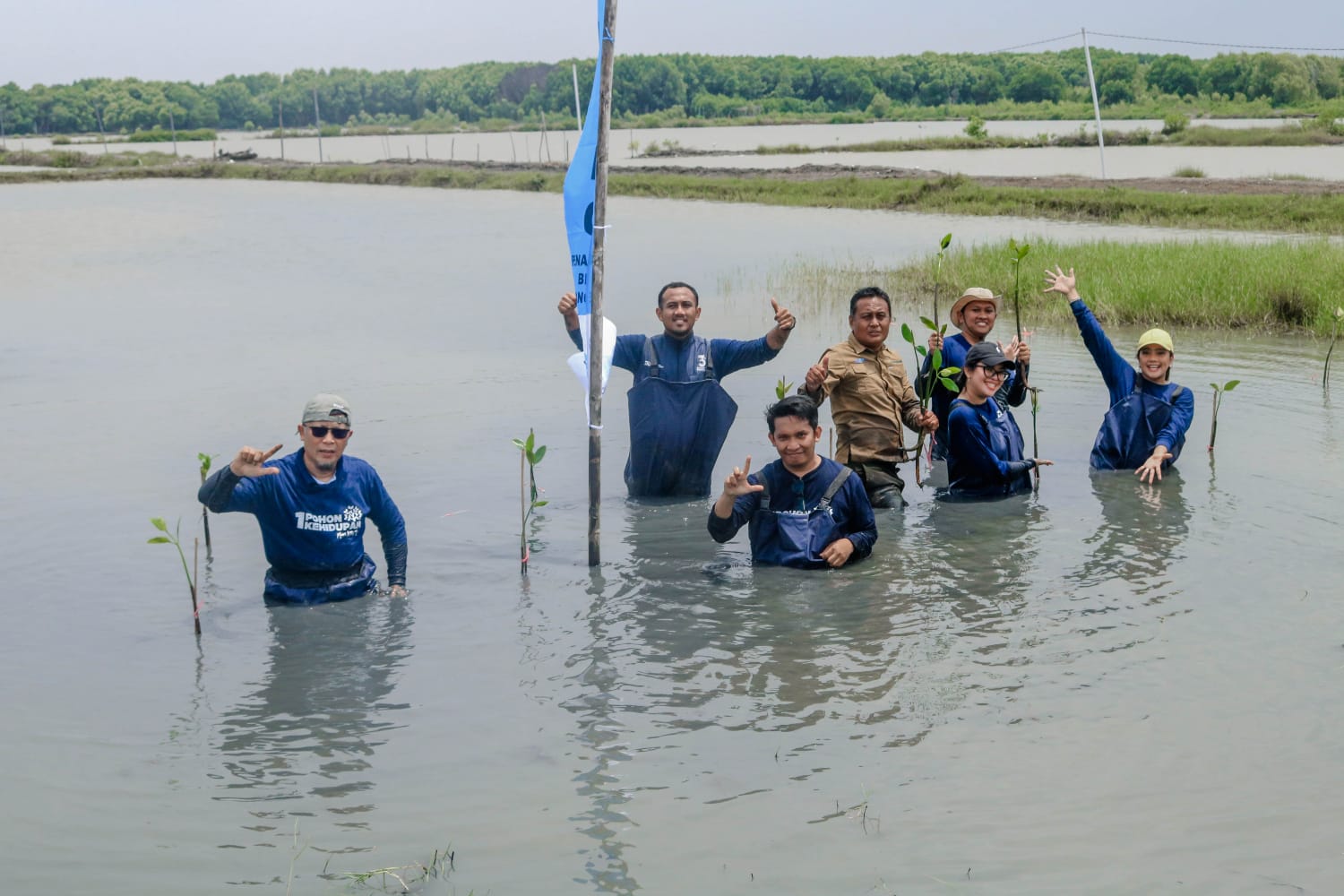 Perkuat Ketahanan Ekosistem Muara Beting, SUCOFINDO Tanam 5.000 Bibit Mangrove